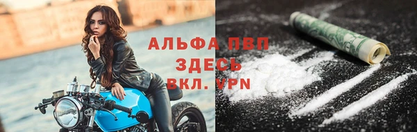 хмурый Инсар