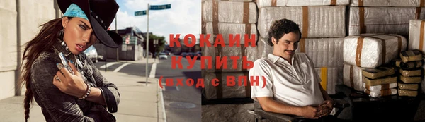 хмурый Инсар