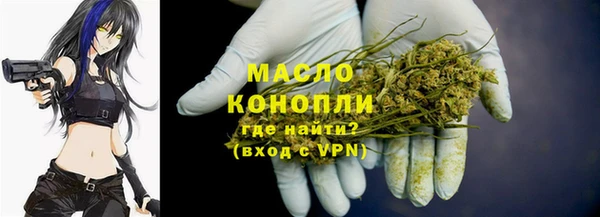 хмурый Инсар