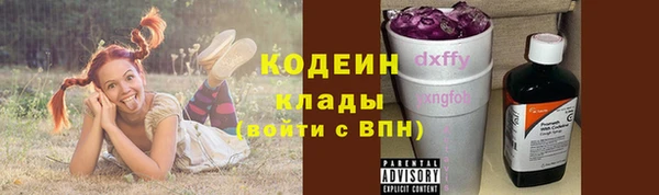 МДПВ Инта