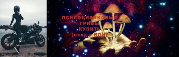хмурый Инсар