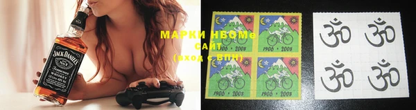 хмурый Инсар