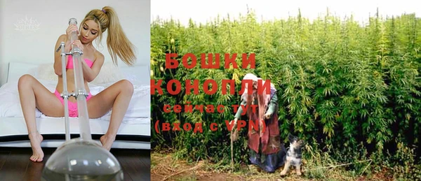 МДПВ Инта