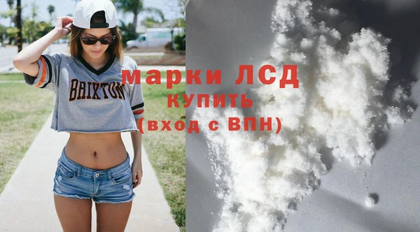 хмурый Инсар
