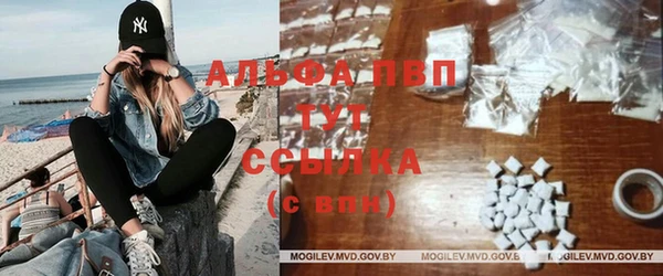 хмурый Инсар
