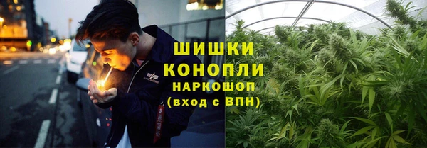 МДПВ Инта