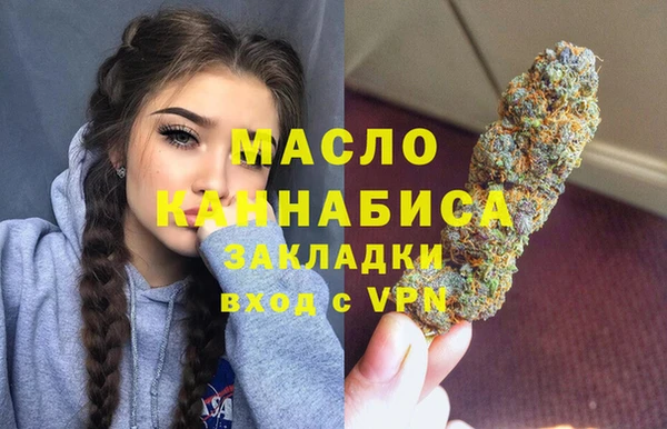 МДПВ Инта